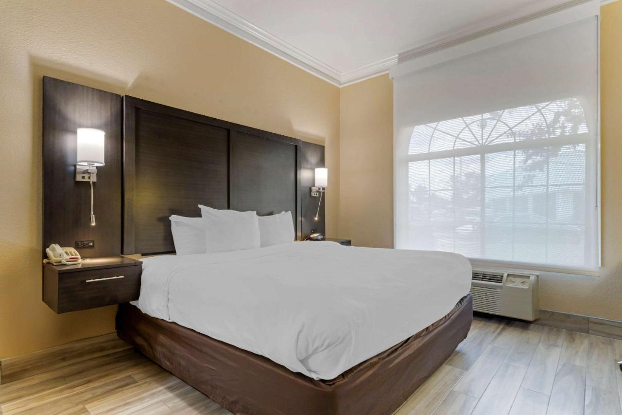 Comfort Suites Kingwood Houston North Humble 59 מראה חיצוני תמונה